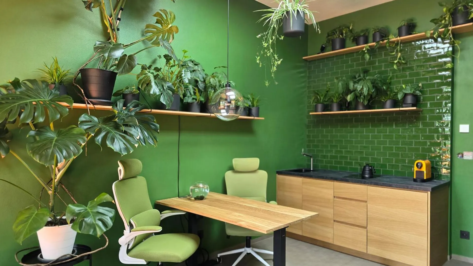 Revitalizer - A Calm Oasis In The Center Of Brno 0*,  Czech Republic