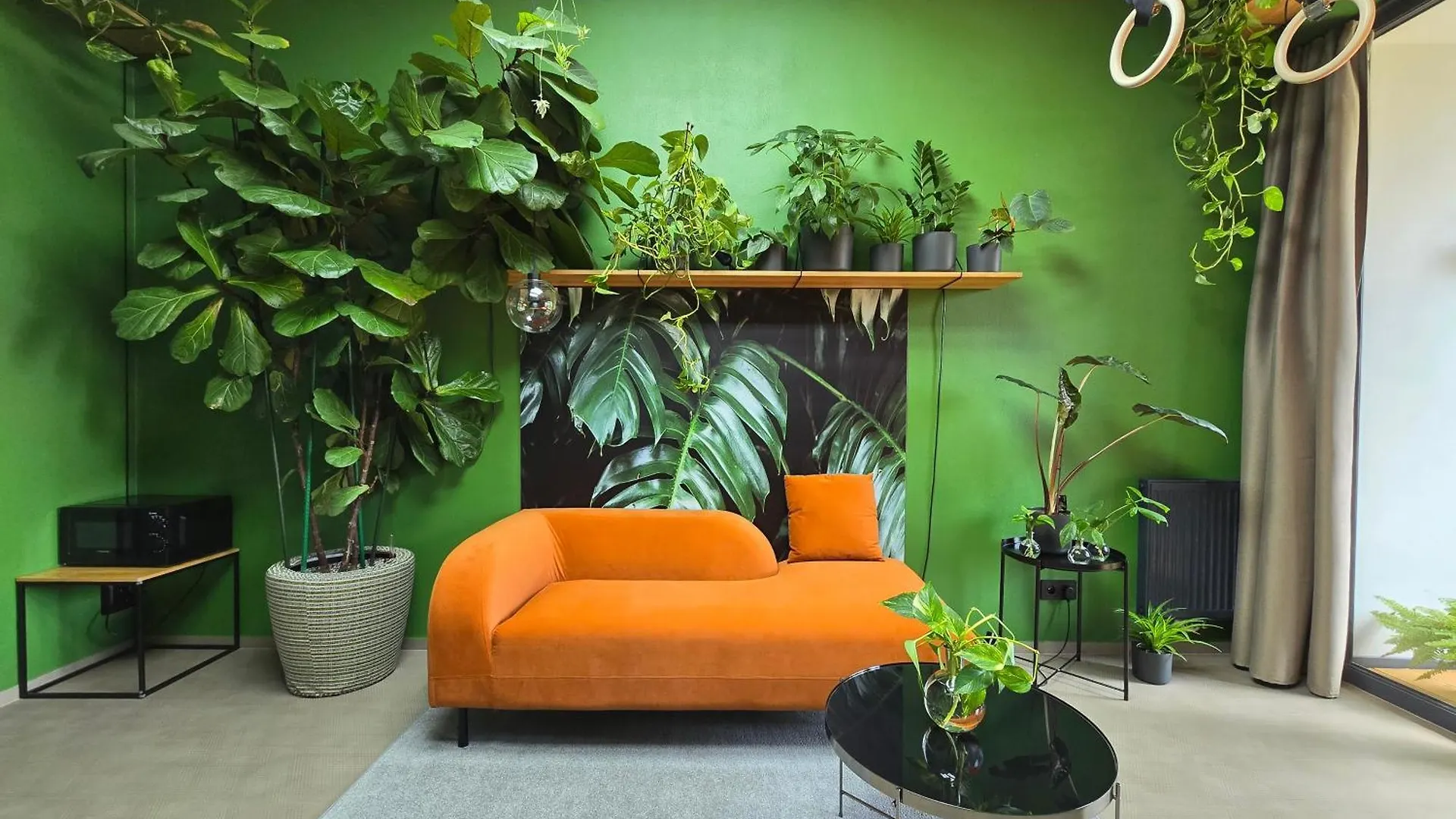 Revitalizer - A Calm Oasis In The Center Of Brno